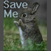Animal abuse avatars