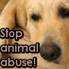 Animal abuse avatars