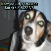Animal abuse avatars