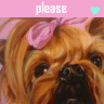Animal abuse avatars