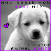 Animal abuse avatars