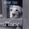 Animal abuse avatars