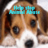 Animal abuse avatars