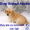 Animal abuse