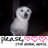 Animal abuse avatars