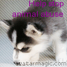 Animal abuse avatars