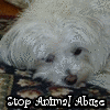 Animal abuse avatars
