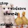 Animal abuse avatars