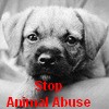 Animal abuse avatars