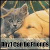 Animals avatars