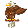 Animals avatars