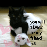 Animals avatars