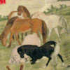 Animals avatars