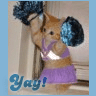 Animals avatars
