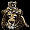 Animals avatars