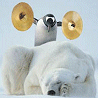 Animals avatars