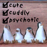 Animals avatars