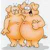 Animals avatars
