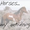 Animals avatars