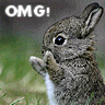 Animals avatars