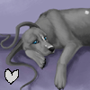 Animals avatars