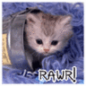 Animals avatars