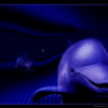 Animals avatars