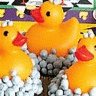 Animals avatars