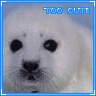 Animals avatars