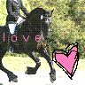 Animals avatars