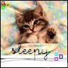 Animals avatars