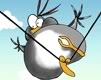 Bird avatars