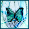 Butterfly avatars