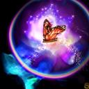 Butterfly avatars