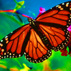 Butterfly avatars