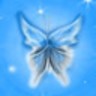 Butterfly avatars