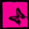 Butterfly avatars