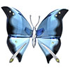 Butterfly avatars