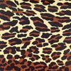 Cheetah avatars
