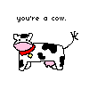 Cow