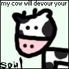 Cow avatars