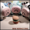 Cow avatars