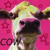 Cow avatars