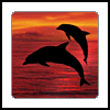 Dolphins avatars