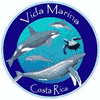 Dolphins avatars