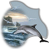 Dolphins avatars