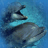 Dolphins avatars