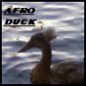 Ducks avatars