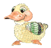 Ducks avatars