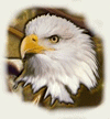 Eagle avatars